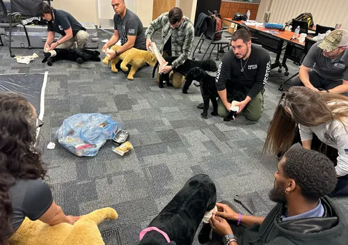 K9 Handler Training 2024